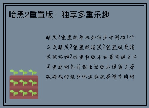 暗黑2重置版：独享多重乐趣
