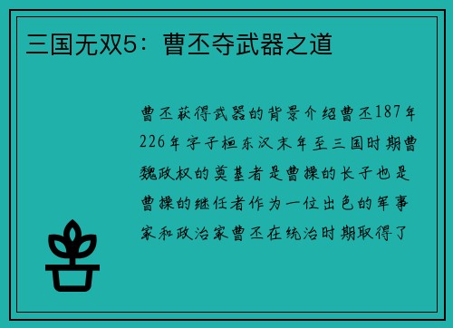 三国无双5：曹丕夺武器之道